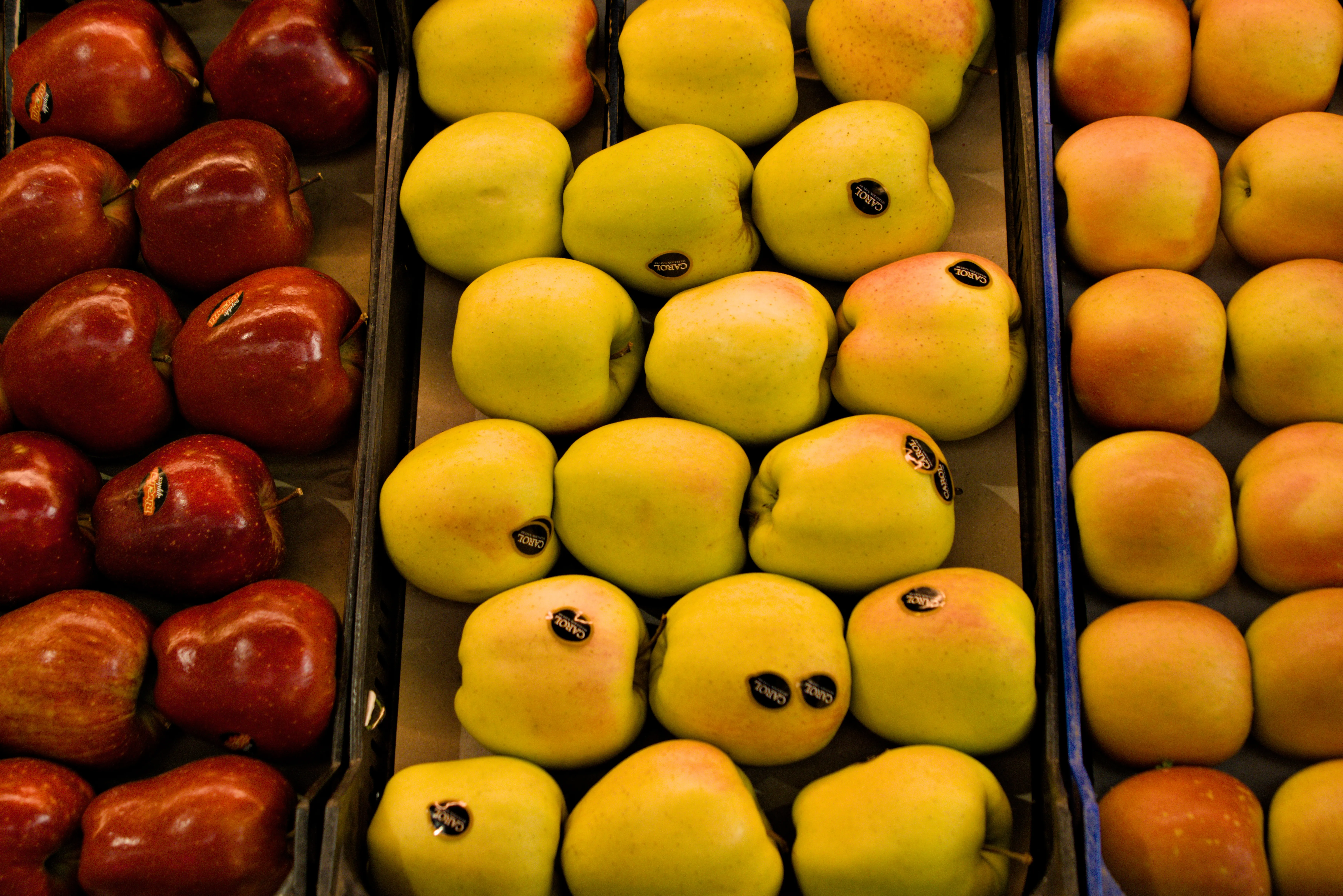 Tamron 28-300mm F3.5-6.3 (EF) - _I4A5041.webp